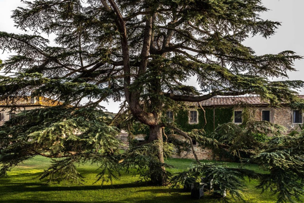 La Pescaia Resort Экстерьер фото