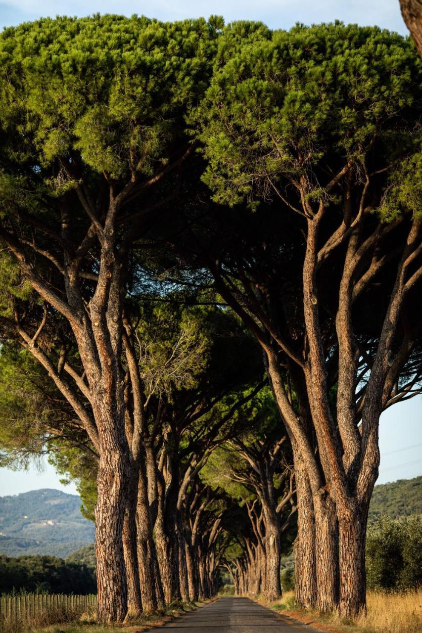 La Pescaia Resort Экстерьер фото